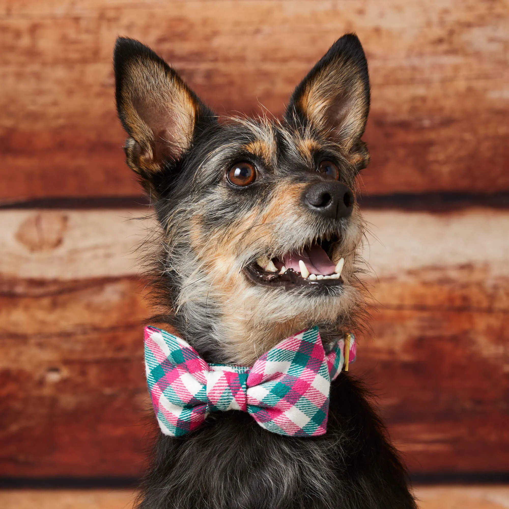 Callie Plaid Flannel Dog Bow Tie