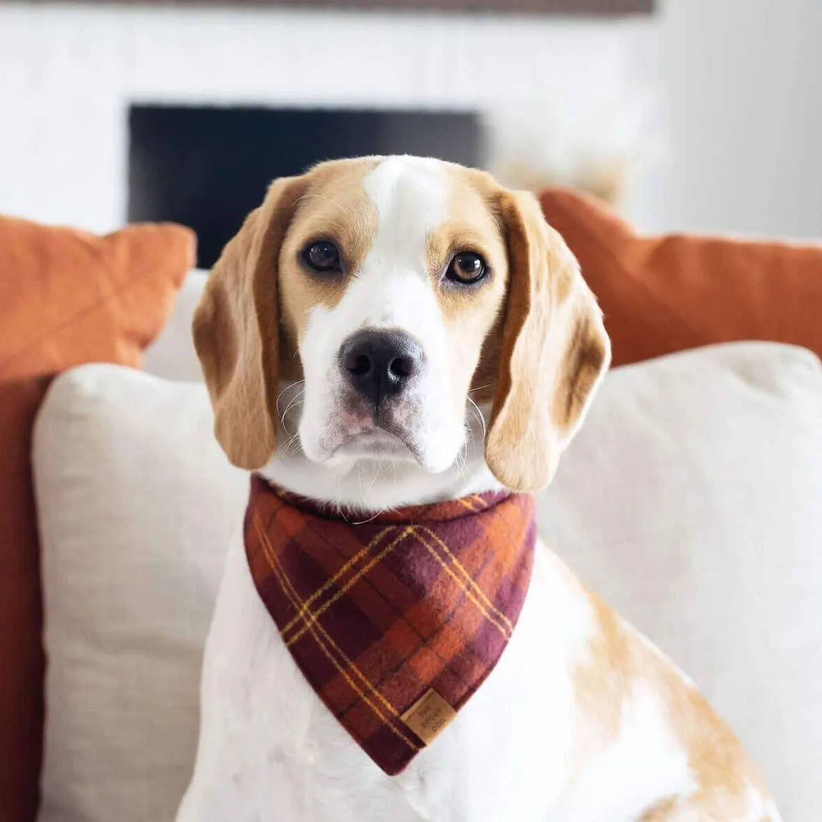 Cider Plaid Flannel Dog Bandana