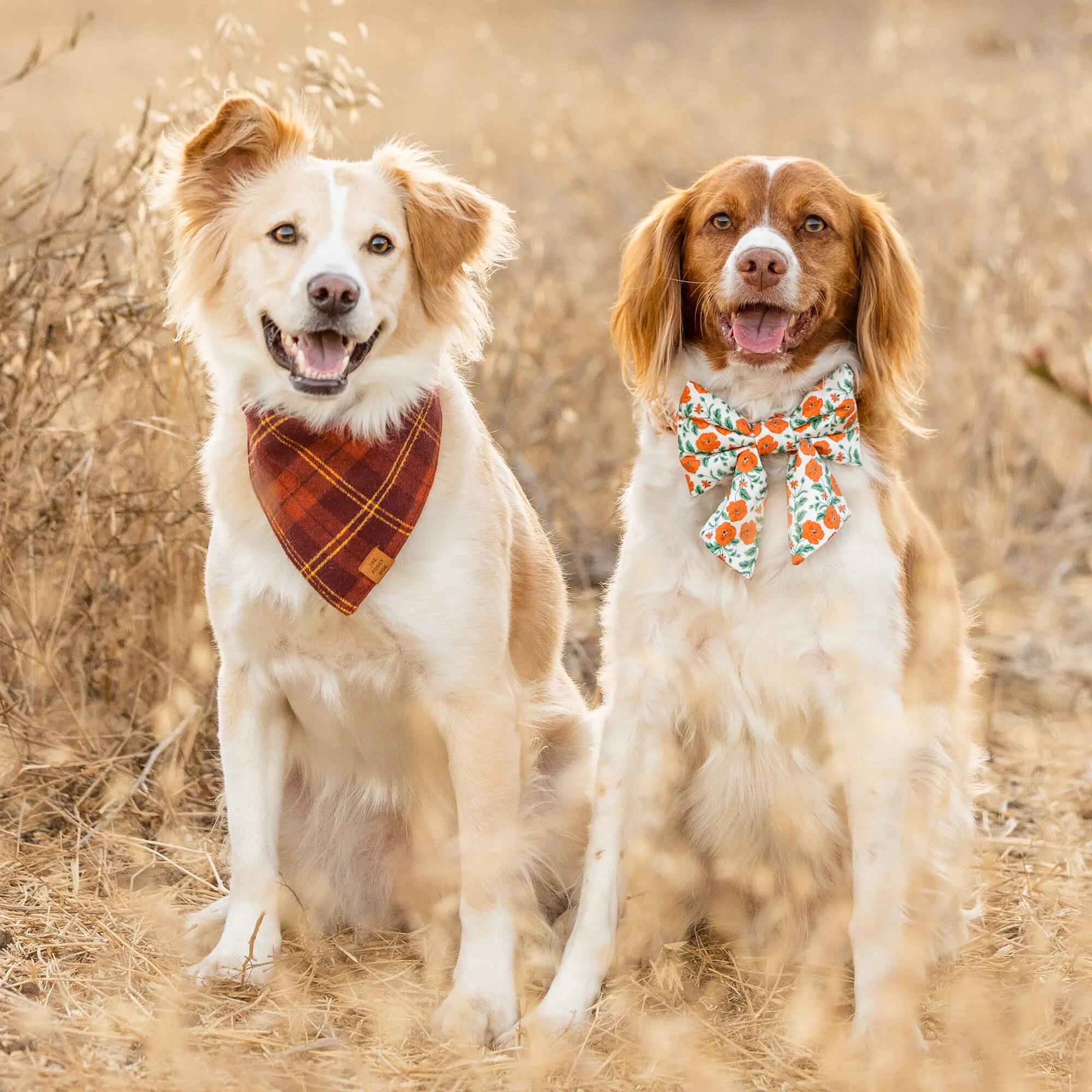 Cider Plaid Flannel Dog Bandana