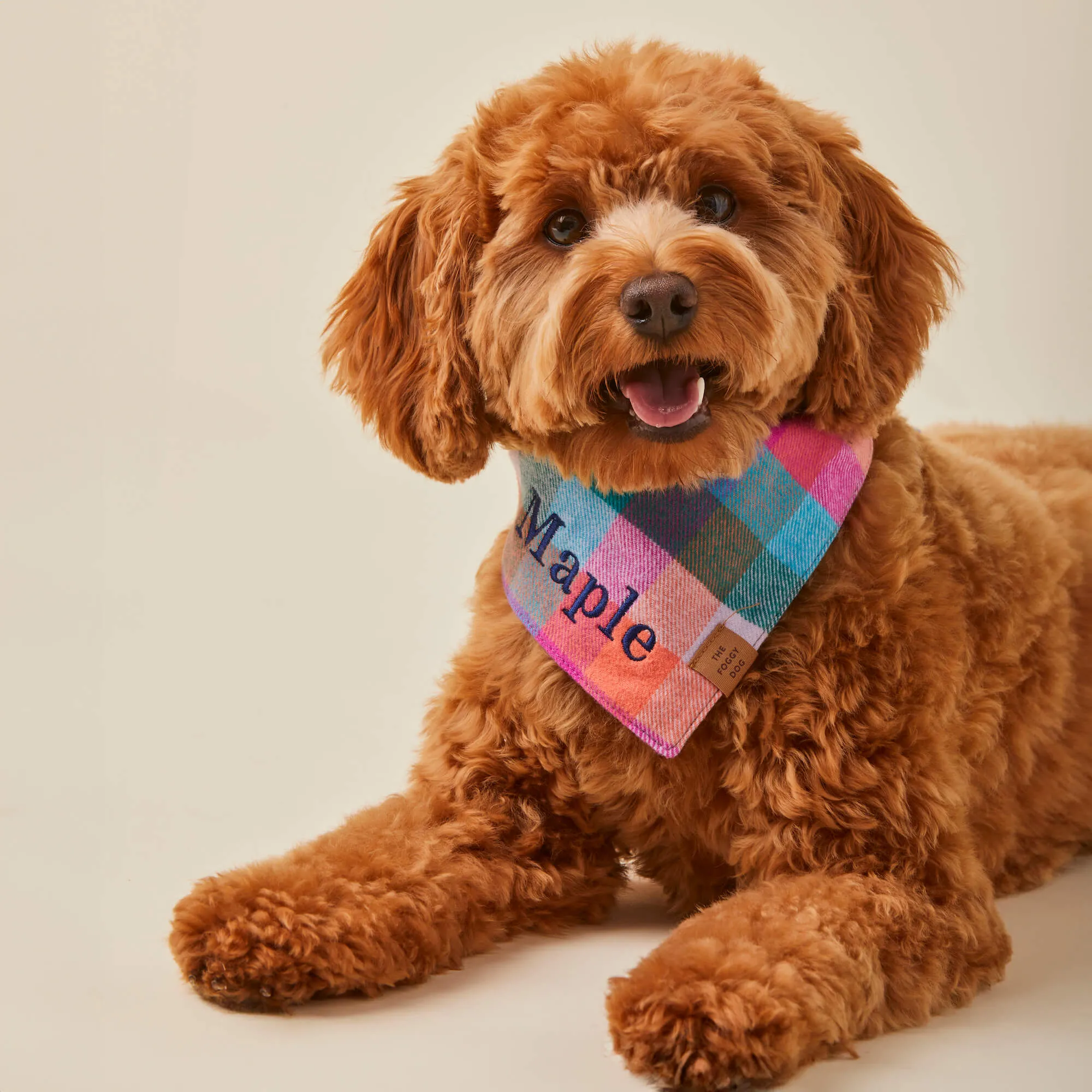 Color Pop Plaid Flannel Dog Bandana