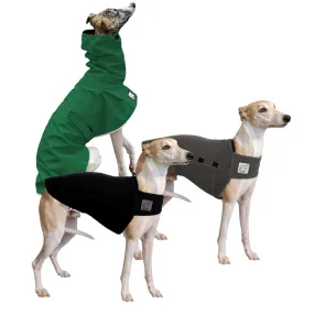 Whippet Fall Essentials Bundle